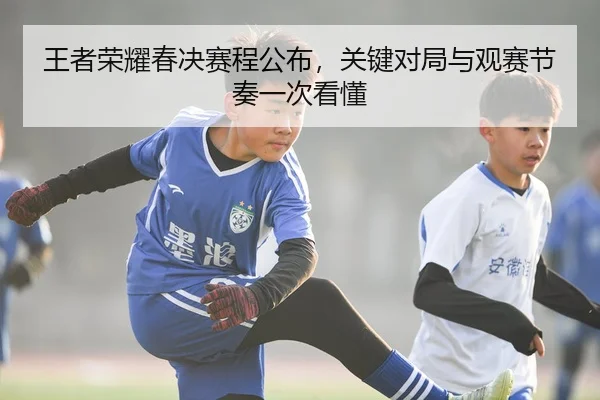 王者荣耀春决赛程公布，关键对局与观赛节奏一次看懂